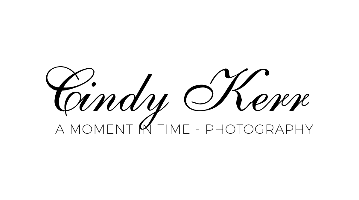 Cindykerr logo